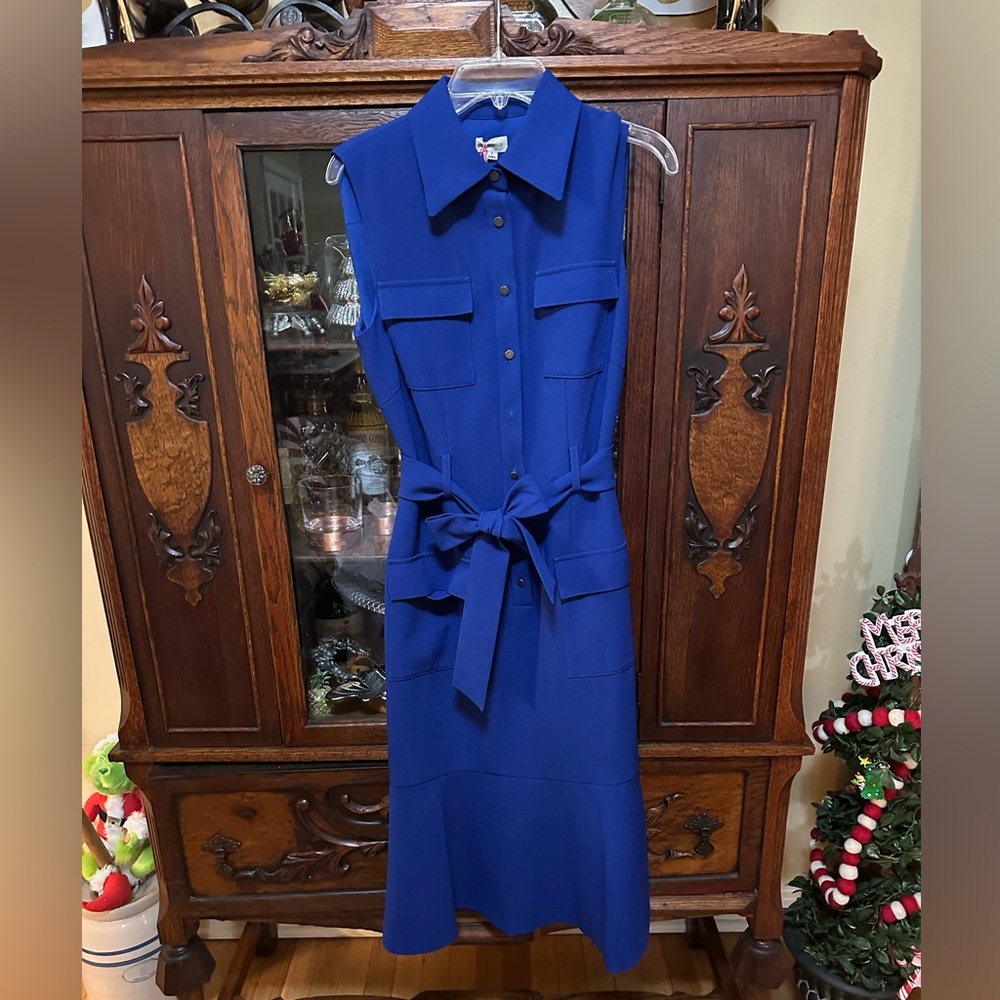 Daniel Cremieux Royal Blue Dress